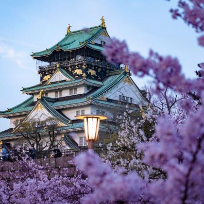 日本大阪+和歌山县6日5晚私家团