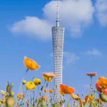 广州+广州塔+珠江夜游2日1晚拼小团 广州+广州塔+珠江夜游2日1晚拼小团