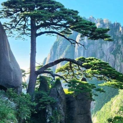 黄山+太平湖+宏村3日2晚私家团 黄山+太平湖+宏村3日2晚私家团