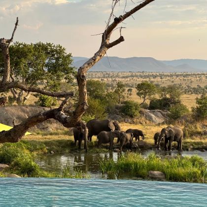 坦桑尼亚10日8晚跟团游 坦桑尼亚10日8晚跟团游