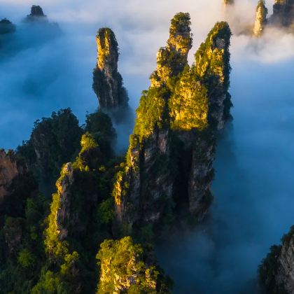 长沙+张家界+武陵源+天门山+凤凰5日4晚跟团游 长沙+张家界+武陵源+天门山+凤凰5日4晚跟团游