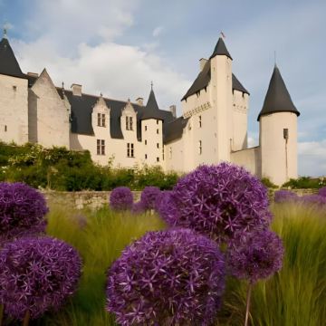 法国+巴黎10日7晚私家团 法国+巴黎10日7晚私家团