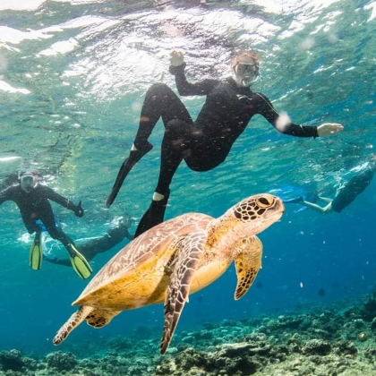 澳大利亚大堡礁8日5晚拼小团 澳大利亚大堡礁8日5晚拼小团