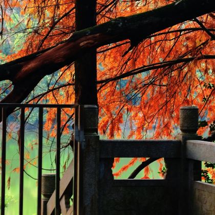 灵光寺+汕尾风车岛+深圳湾公园6日5晚私家团 灵光寺+汕尾风车岛+深圳湾公园6日5晚私家团