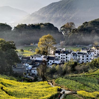 江西婺源+景德镇+庐山市+三清山风景区+望仙谷4日3晚跟团游 江西婺源+景德镇+庐山市+三清山风景区+望仙谷4日3晚跟团游