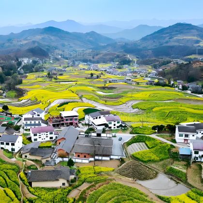 汉中+青木川古镇+紫柏山国家森林公园+张良庙+凤堰古梯田+中坝大峡谷+半亩茶园+勉县武侯祠博物馆6日5晚私家团 汉中+青木川古镇+紫柏山国家森林公园+张良庙+凤堰古梯田+中坝大峡谷+半亩茶园+勉县武侯祠博物馆6日5晚私家团