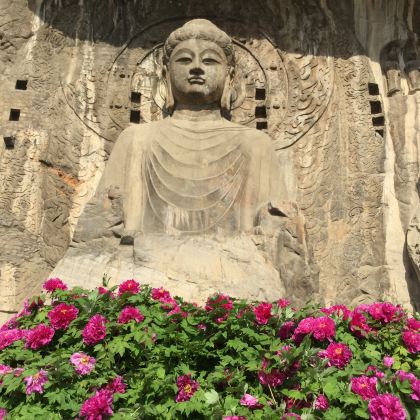 河南+少林寺+嵩阳书院+龙门石窟+二里头夏都遗址博物馆+白马寺+洛邑古城+开封府+清明上河园+《大宋东京梦华》演出+河南博物院5日4晚跟团游 河南+少林寺+嵩阳书院+龙门石窟+二里头夏都遗址博物馆+白马寺+洛邑古城+开封府+清明上河园+《大宋东京梦华》演出+河南博物院5日4晚跟团游
