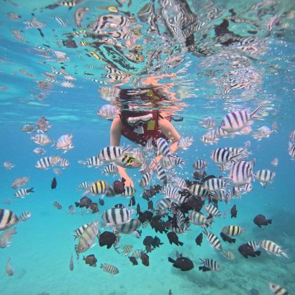 芽庄4日3晚自由行 芽庄4日3晚自由行