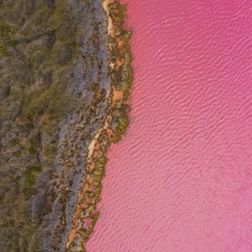 澳大利亚珀斯+赫特泻湖+罗特尼斯岛+玛格丽特河5日4晚跟团游 澳大利亚珀斯+赫特泻湖+罗特尼斯岛+玛格丽特河5日4晚跟团游