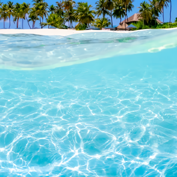 泰国曼谷+芭堤雅8日7晚私家团 泰国曼谷+芭堤雅8日7晚私家团