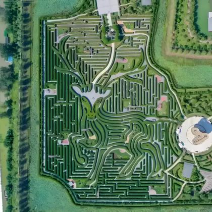 盐城中华麋鹿园+梅花湾+梦幻迷宫3日2晚私家团 盐城中华麋鹿园+梅花湾+梦幻迷宫3日2晚私家团