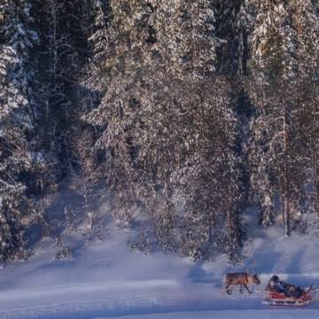 芬兰拉普兰区+挪威特罗姆瑟+索玛若伊岛11日10晚私家团 芬兰拉普兰区+挪威特罗姆瑟+索玛若伊岛11日10晚私家团