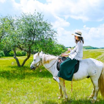 呼和浩特+包头+库布齐沙漠+希拉穆仁草原+哈素海6日5晚自由行 呼和浩特+包头+库布齐沙漠+希拉穆仁草原+哈素海6日5晚自由行