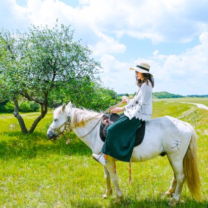 锡林郭勒盟草原+锡盟西乌旗乌兰五台景区+达达线+阿斯哈图石林景区+热阿线+游牧部落4日3晚自由行 锡林郭勒盟草原+锡盟西乌旗乌兰五台景区+达达线+阿斯哈图石林景区+热阿线+游牧部落4日3晚自由行