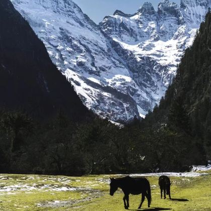 梅里雪山+雨崩景区-神瀑4日3晚自由行 梅里雪山+雨崩景区-神瀑4日3晚自由行
