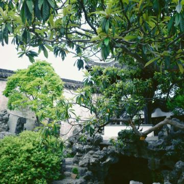 扬州+瘦西湖+个园+东关街历史街区2日1晚拼小团 扬州+瘦西湖+个园+东关街历史街区2日1晚拼小团