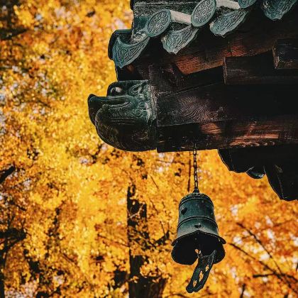 山西太原+五台山+大同+平遥+壶口瀑布6日5晚跟团游 山西太原+五台山+大同+平遥+壶口瀑布6日5晚跟团游