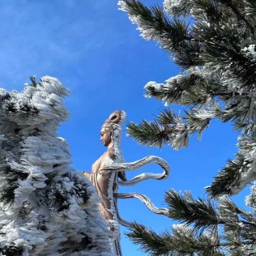 连云港+盐城4日3晚私家团 连云港+盐城4日3晚私家团