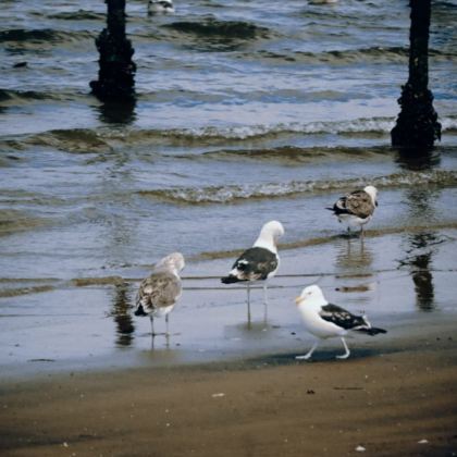 圣地亚哥首都大区+瓦尔帕莱索大区+伊瓜苏国家公园+福斯-杜伊瓜苏+里约热内卢州+布宜诺斯艾利斯10日9晚私家团 圣地亚哥首都大区+瓦尔帕莱索大区+伊瓜苏国家公园+福斯-杜伊瓜苏+里约热内卢州+布宜诺斯艾利斯10日9晚私家团
