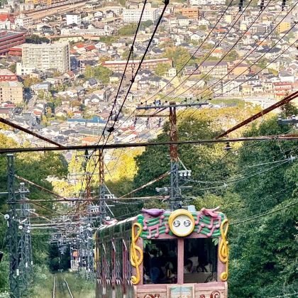 日本6日5晚私家团 日本6日5晚私家团