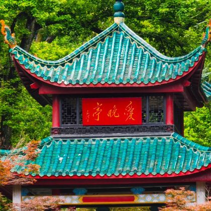 长沙+韶山+岳阳5日4晚私家团 长沙+韶山+岳阳5日4晚私家团