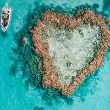 澳大利亚汉密尔顿岛4日3晚拼小团 澳大利亚汉密尔顿岛4日3晚拼小团