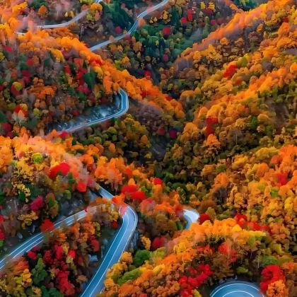 光雾山旅游景区+米仓山国家森林公园+十八月潭景区+汉中龙头山国际旅游度假区+情人谷+留坝千年银杏树7日6晚私家团 光雾山旅游景区+米仓山国家森林公园+十八月潭景区+汉中龙头山国际旅游度假区+情人谷+留坝千年银杏树7日6晚私家团