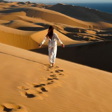 津巴布韦+赞比亚+博茨瓦纳+纳米比亚13日10晚跟团游 津巴布韦+赞比亚+博茨瓦纳+纳米比亚13日10晚跟团游