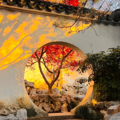 天宁寺+无锡市太湖鼋头渚风景区+留园+拙政园5日4晚私家团 天宁寺+无锡市太湖鼋头渚风景区+留园+拙政园5日4晚私家团