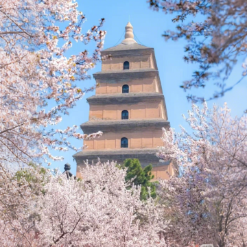 西安5日4晚私家团 西安5日4晚私家团