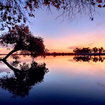 内蒙古额济纳胡杨林旅游区+西部梦幻峡谷+纳林湖景区+居延海7日6晚私家团 内蒙古额济纳胡杨林旅游区+西部梦幻峡谷+纳林湖景区+居延海7日6晚私家团