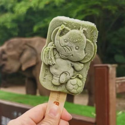 西双版纳5日4晚私家团 西双版纳5日4晚私家团