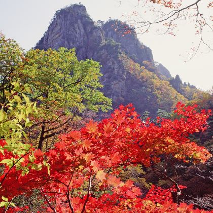 温州雁荡山+江心屿+楠溪江风景旅游区3日2晚跟团游 温州雁荡山+江心屿+楠溪江风景旅游区3日2晚跟团游