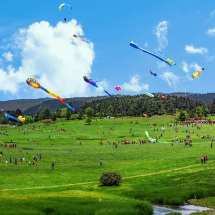 重庆+武隆区4日3晚拼小团 重庆+武隆区4日3晚拼小团