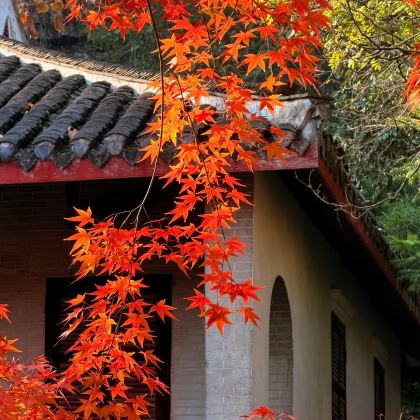 泰州+千垛景区+常州+青果巷+南通狼山风景名胜区5日4晚私家团 泰州+千垛景区+常州+青果巷+南通狼山风景名胜区5日4晚私家团