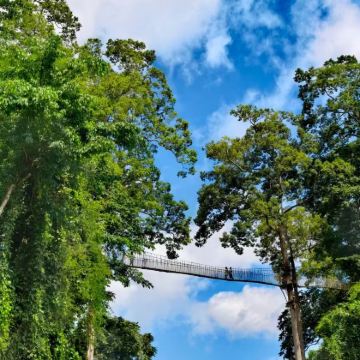 云南西双版纳+老挝琅勃拉邦+万荣+万象10日9晚私家团 云南西双版纳+老挝琅勃拉邦+万荣+万象10日9晚私家团