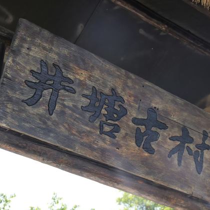 青州2日1晚跟团游 青州2日1晚跟团游