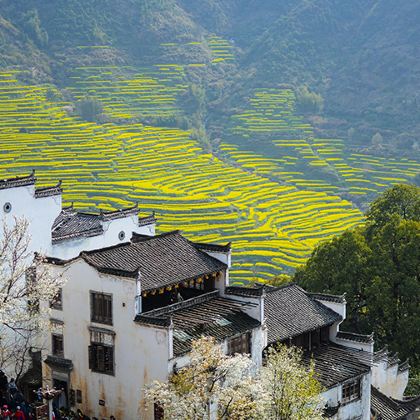 江西南昌+庐山风景区+婺源5日4晚跟团游