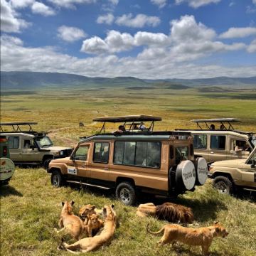 坦桑尼亚10日9晚私家团 坦桑尼亚10日9晚私家团