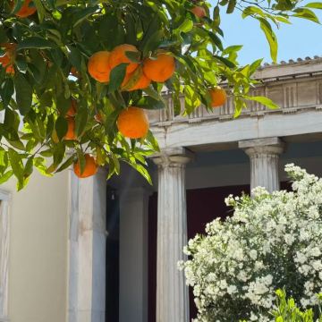 希腊9日8晚私家团 希腊9日8晚私家团