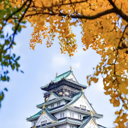 日本大阪+京都+箱根+东京7日6晚跟团游 日本大阪+京都+箱根+东京7日6晚跟团游