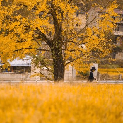 云南腾冲+芒市7日6晚拼小团 云南腾冲+芒市7日6晚拼小团
