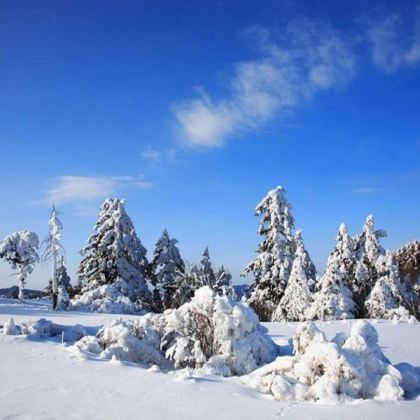 神农架2日1晚自由行 神农架2日1晚自由行