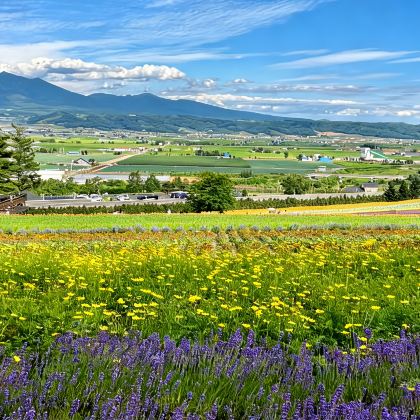 日本北海道6日5晚私家团 日本北海道6日5晚私家团