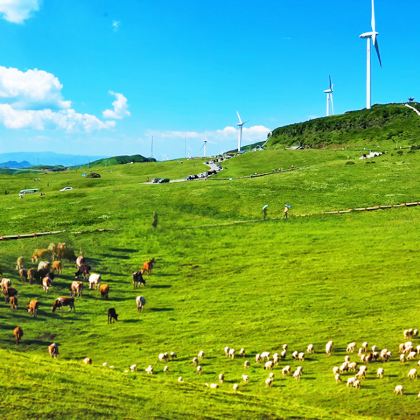 贵州贵阳+黄果树+兴义+六盘水+青岩古镇5日4晚拼小团 贵州贵阳+黄果树+兴义+六盘水+青岩古镇5日4晚拼小团