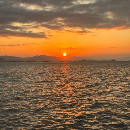 上海+杭州+苏州+南京+厦门+鼓浪屿10日9晚跟团游 上海+杭州+苏州+南京+厦门+鼓浪屿10日9晚跟团游