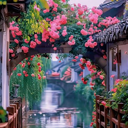 嘉兴+乌镇+西塘风景区+同里古镇+南湖景区3日2晚私家团 嘉兴+乌镇+西塘风景区+同里古镇+南湖景区3日2晚私家团