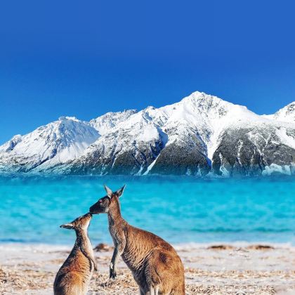 澳大利亚+新西兰17日跟团游