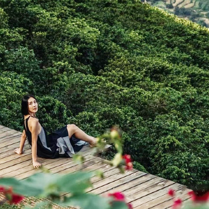 云南昆明+哀牢山自然保护区+普洱+临沧+景迈山9日8晚私家团 云南昆明+哀牢山自然保护区+普洱+临沧+景迈山9日8晚私家团