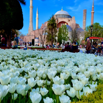 塞尔维亚+土耳其7日6晚拼小团 塞尔维亚+土耳其7日6晚拼小团